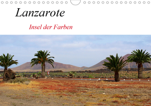 Lanzarote – Insel der Farben (Wandkalender 2020 DIN A4 quer) von helia