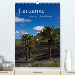 Lanzarote (Premium, hochwertiger DIN A2 Wandkalender 2023, Kunstdruck in Hochglanz) von Ergler,  Anja