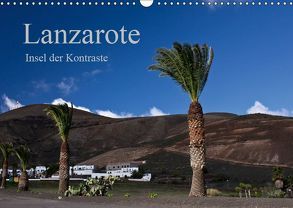 Lanzarote (Wandkalender 2019 DIN A3 quer) von Ergler,  Anja