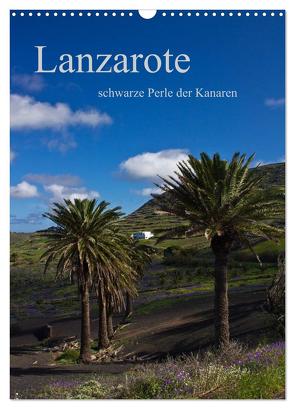 Lanzarote (Wandkalender 2024 DIN A3 hoch), CALVENDO Monatskalender von Ergler,  Anja