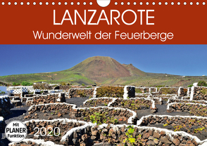 Lanzarote. Wunderwelt der Feuerberge (Wandkalender 2020 DIN A4 quer) von Heußlein,  Jutta