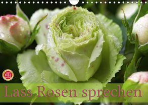 Lass Rosen sprechen (Wandkalender 2019 DIN A4 quer) von Cross,  Martina