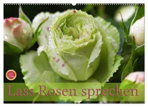 Lass Rosen sprechen (Wandkalender 2024 DIN A2 quer), CALVENDO Monatskalender von Cross,  Martina