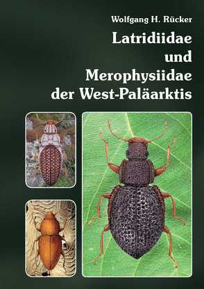 Latridiidae und Merophysiidae der West-Paläarktis von Rücker,  Wolfgang H.