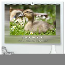 Laufenten – tierisch liebenswerte Zeitgenossen (hochwertiger Premium Wandkalender 2024 DIN A2 quer), Kunstdruck in Hochglanz von Storm,  Wiebke