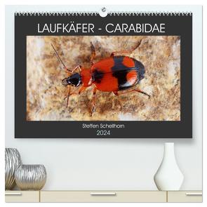 LAUFKÄFER – CARABIDAE (hochwertiger Premium Wandkalender 2024 DIN A2 quer), Kunstdruck in Hochglanz von Schellhorn,  Steffen