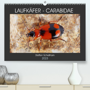 LAUFKÄFER – CARABIDAE (Premium, hochwertiger DIN A2 Wandkalender 2023, Kunstdruck in Hochglanz) von Schellhorn,  Steffen