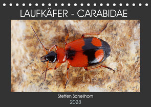 LAUFKÄFER – CARABIDAE (Tischkalender 2023 DIN A5 quer) von Schellhorn,  Steffen