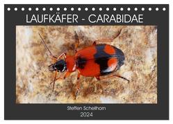 LAUFKÄFER – CARABIDAE (Tischkalender 2024 DIN A5 quer), CALVENDO Monatskalender von Schellhorn,  Steffen