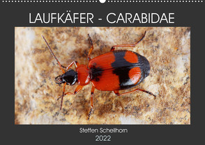 LAUFKÄFER – CARABIDAE (Wandkalender 2022 DIN A2 quer) von Schellhorn,  Steffen
