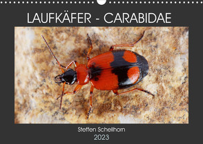LAUFKÄFER – CARABIDAE (Wandkalender 2023 DIN A3 quer) von Schellhorn,  Steffen