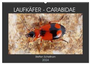 LAUFKÄFER – CARABIDAE (Wandkalender 2024 DIN A2 quer), CALVENDO Monatskalender von Schellhorn,  Steffen