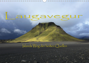 Laugavegur – Islands Weg der heißen Quellen (Wandkalender 2020 DIN A3 quer) von Bundrück,  Peter