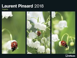 Laurent Pinsard 2018 von Pinsard,  Laurent