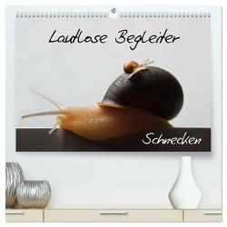 Lautlose Begleiter – Schnecken (hochwertiger Premium Wandkalender 2024 DIN A2 quer), Kunstdruck in Hochglanz von Geiling,  Wibke
