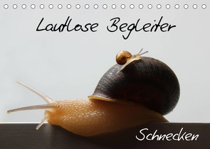 Lautlose Begleiter – Schnecken (Tischkalender 2023 DIN A5 quer) von Geiling,  Wibke