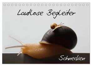 Lautlose Begleiter – Schnecken (Tischkalender 2024 DIN A5 quer), CALVENDO Monatskalender von Geiling,  Wibke