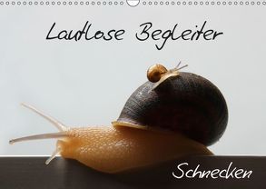 Lautlose Begleiter – Schnecken (Wandkalender 2019 DIN A3 quer) von Geiling,  Wibke