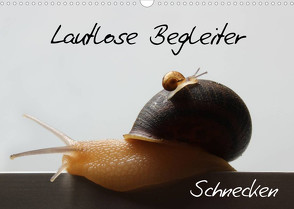 Lautlose Begleiter – Schnecken (Wandkalender 2022 DIN A3 quer) von Geiling,  Wibke