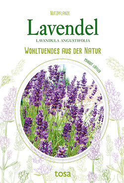 Lavendel von Löffler,  Margot