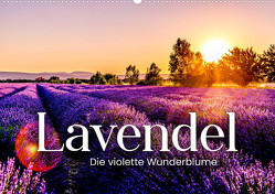Lavendel – Die violette Wunderblume (Wandkalender 2023 DIN A2 quer) von SF