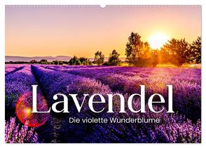 Lavendel – Die violette Wunderblume (Wandkalender 2024 DIN A2 quer), CALVENDO Monatskalender von SF,  SF