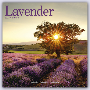 Lavender – Lavendel 2023 – 16-Monatskalender