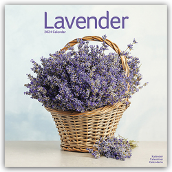 Lavender – Lavendel 2024 – 16-Monatskalender