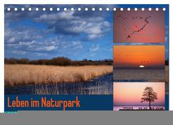 Leben am Naturpark um den Dümmer See (Tischkalender 2024 DIN A5 quer), CALVENDO Monatskalender von Riedel,  Tanja