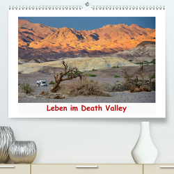 Leben im Death Valley (Premium, hochwertiger DIN A2 Wandkalender 2021, Kunstdruck in Hochglanz) von Wilczek,  Dieter-M.