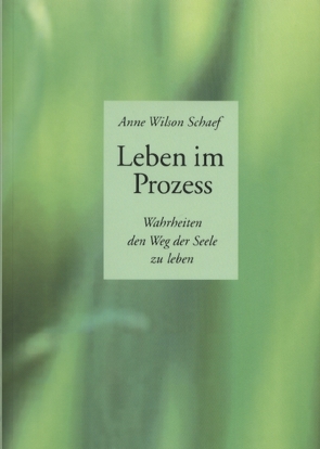 Leben im Prozess von Schaef,  Anne Wilson, Vollenweider,  Ilserose