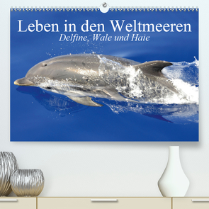 Leben in den Weltmeeren. Delfine, Wale und Haie (Premium, hochwertiger DIN A2 Wandkalender 2020, Kunstdruck in Hochglanz) von Stanzer,  Elisabeth