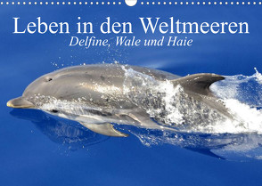 Leben in den Weltmeeren. Delfine, Wale und Haie (Wandkalender 2023 DIN A3 quer) von Stanzer,  Elisabeth