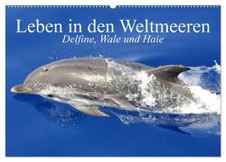 Leben in den Weltmeeren. Delfine, Wale und Haie (Wandkalender 2024 DIN A2 quer), CALVENDO Monatskalender von Stanzer,  Elisabeth