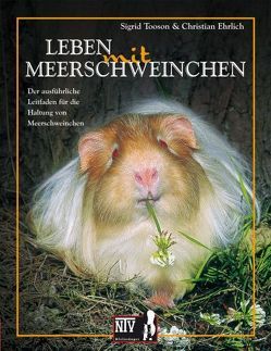Leben mit Meerschweinchen – Cavia aparea f. porcellus von Ehrlich,  Christian, Tooson,  Sigrid