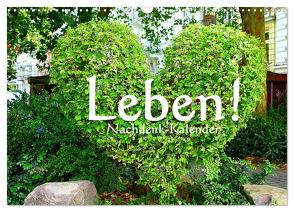 Leben! – Nachdenk-Kalender (Wandkalender 2024 DIN A3 quer), CALVENDO Monatskalender von Lemmermann,  Jürgen