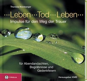 Leben – Tod – Leben von Kronberger,  Theresia