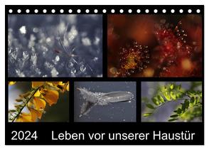 Leben vor unserer Haustür (Tischkalender 2024 DIN A5 quer), CALVENDO Monatskalender von Almut Eberhardt,  Dr.