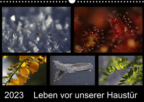 Leben vor unserer Haustür (Wandkalender 2023 DIN A3 quer) von Almut Eberhardt,  Dr.