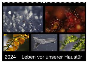Leben vor unserer Haustür (Wandkalender 2024 DIN A2 quer), CALVENDO Monatskalender von Almut Eberhardt,  Dr.