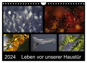 Leben vor unserer Haustür (Wandkalender 2024 DIN A4 quer), CALVENDO Monatskalender von Almut Eberhardt,  Dr.