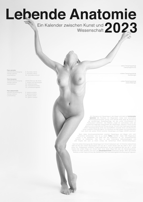 Lebende Anatomie 2023 von Hoyer,  Stefan, Lara,  Schön, Voigtländer,  Sten Hannes