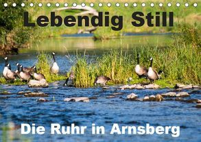 Lebendig Still – Die Ruhr in Arnsberg (Tischkalender 2019 DIN A5 quer) von CM
