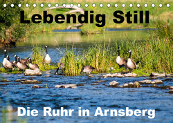 Lebendig Still – Die Ruhr in Arnsberg (Tischkalender 2023 DIN A5 quer) von CM