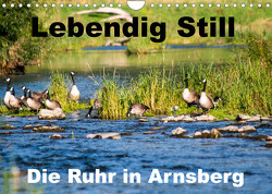 Lebendig Still – Die Ruhr in Arnsberg (Wandkalender 2023 DIN A4 quer) von CM