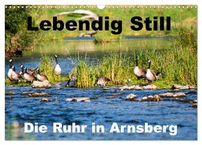 Lebendig Still – Die Ruhr in Arnsberg (Wandkalender 2024 DIN A3 quer), CALVENDO Monatskalender von CM,  CM