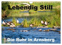 Lebendig Still – Die Ruhr in Arnsberg (Wandkalender 2024 DIN A4 quer), CALVENDO Monatskalender von CM,  CM