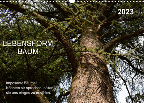Lebensform Baum (Wandkalender 2023 DIN A3 quer) von Gaudig,  Marlise
