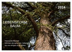 Lebensform Baum (Wandkalender 2024 DIN A2 quer), CALVENDO Monatskalender von Gaudig,  Marlise