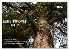 Lebensform Baum (Wandkalender 2024 DIN A4 quer), CALVENDO Monatskalender von Gaudig,  Marlise